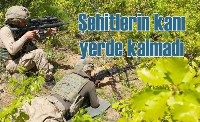 Bitlis'te operasyon | Başına ödül konulan terörist öldürüldü