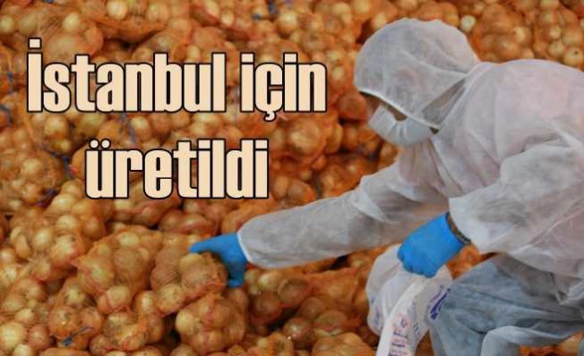 İstanbullu'nun soğan ve patatesi Adana'dan geldi