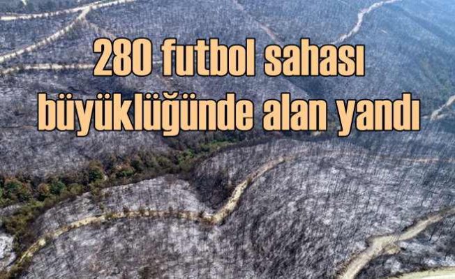 Kozan'da 280 futbol sahası büyüklüğünde orman kül oldu