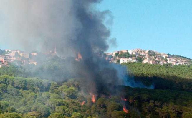 Maltepe'de çıkan orman yangını söndürüldü