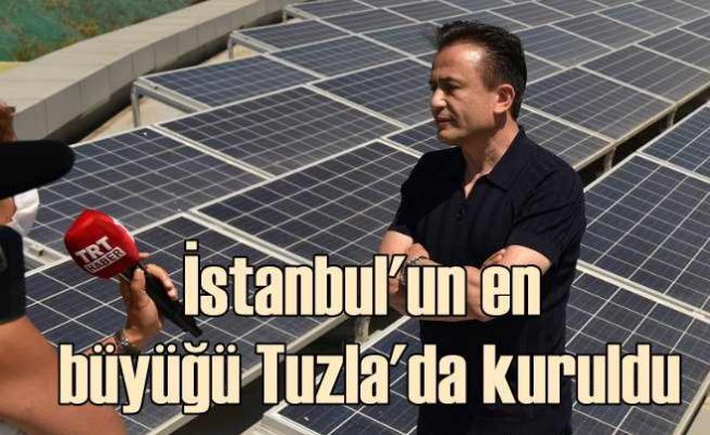 Tuzla Belediyesi, İstanbul’un en büyük Güneş Enerjisi Santrali’ni kurdu
