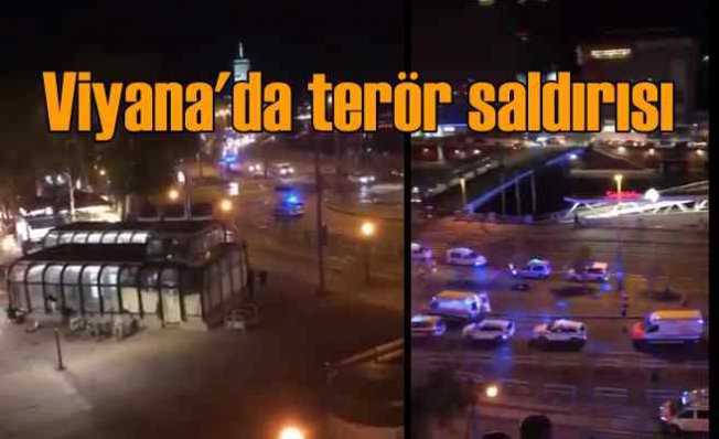 Viyana'da terör saldırısı | Yaralılara Türk boksör yardım etti | 7 ölü var