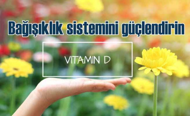Bağışıklık Sistemimizi Koruyan Asker |D Vitamini