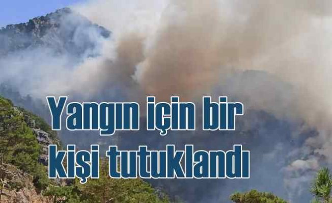 Akseki'de orman yangını | Bir kişi tutuklandı