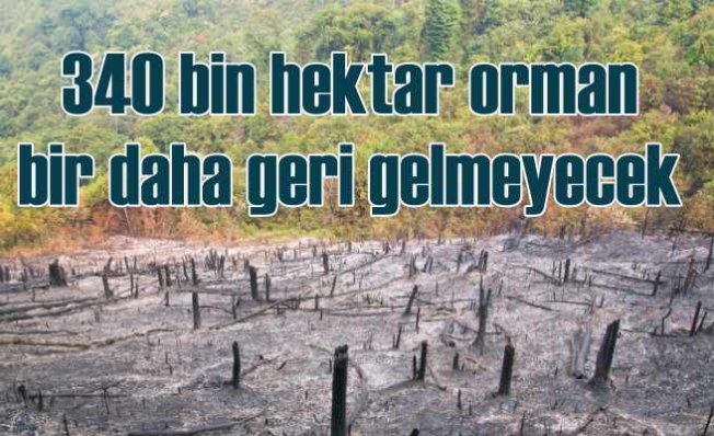 Orman yangını mı, ormansızlaşma mı?