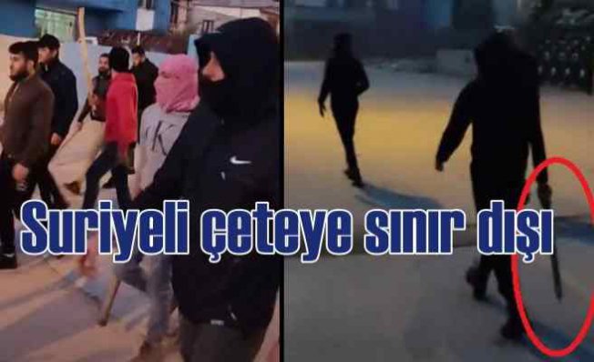 Adana'da Suriyeli çete çökertildi, sınır dışı edilecek