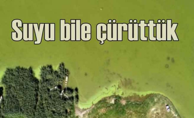 Kirlilik Uluabat Gölü'nü bitiriyor | Suyu bile çürüttüler