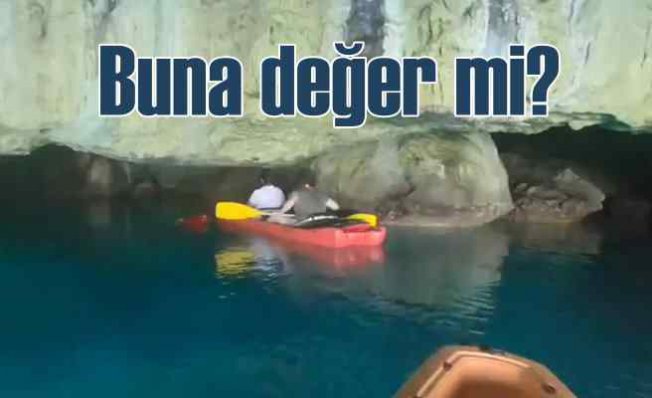 Akdeniz foklarının yaşam alanları turist tehdidi altında