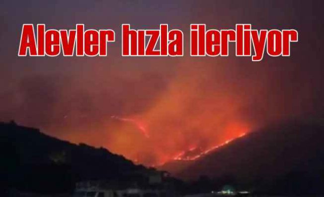 Datça'da orman yangını | Alevler hızla ilerliyor