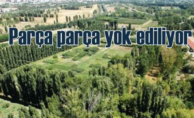 Atatürk Orman Çiftliği parsel parsel yok ediliyor