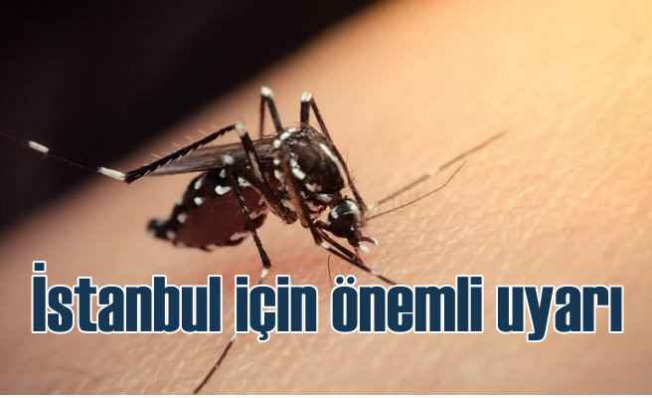 İstanbul'u saran sivrisinekler için önemli uyarı