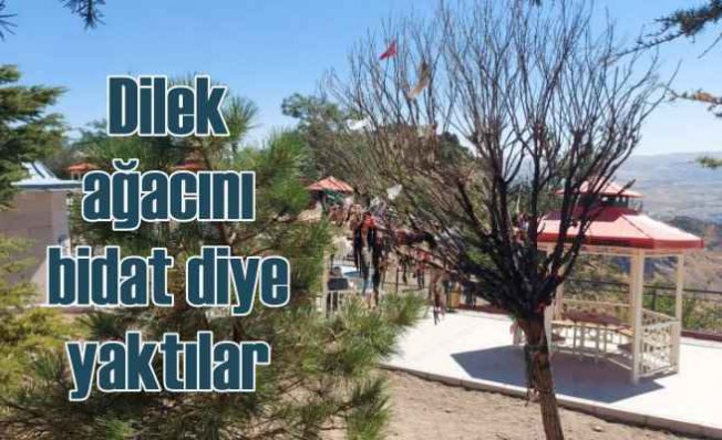 Ankara'da dilek ağacını 'Bidat' diyerek ateşe verdiler