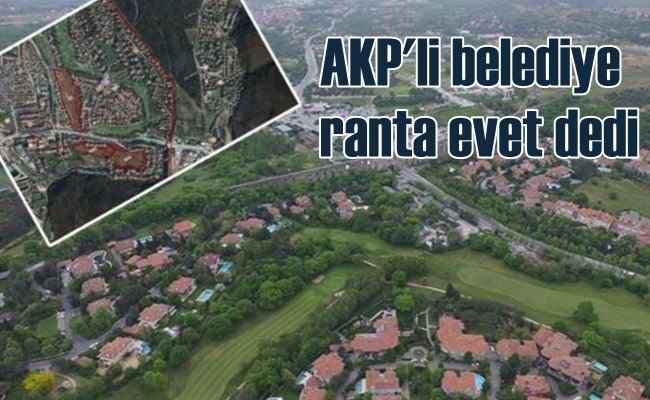 İBB'nin durdurduğu talanı AKP'li Eyüp belediyesi izin verdi