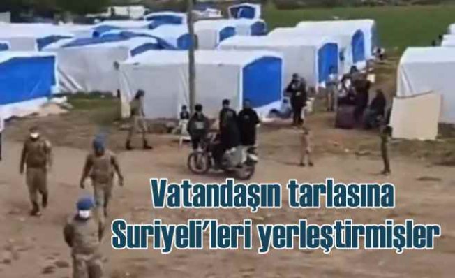 Tapulu ekili tarlaya, Suriyeli'ler için çadır kurmuşlar