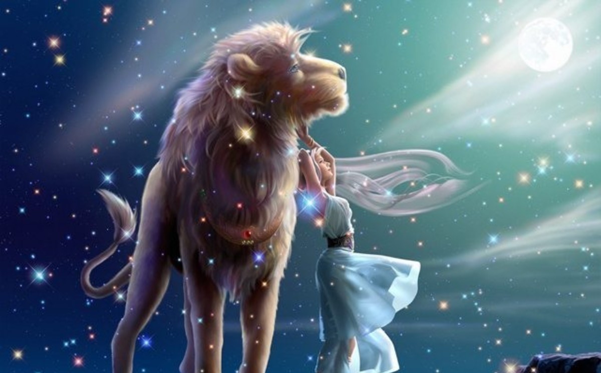 ASLAN BURCU