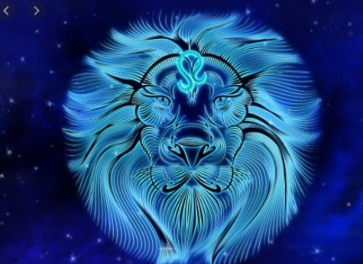 ASLAN BURCU