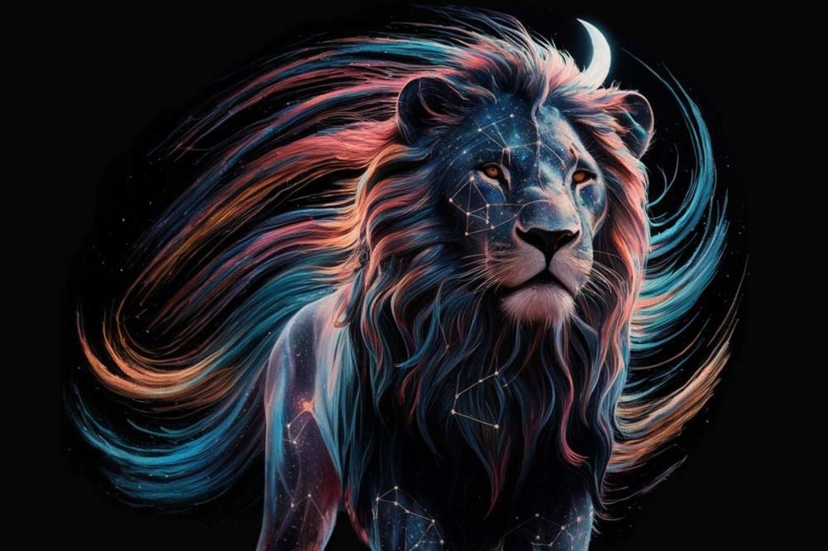 ASLAN BURCU