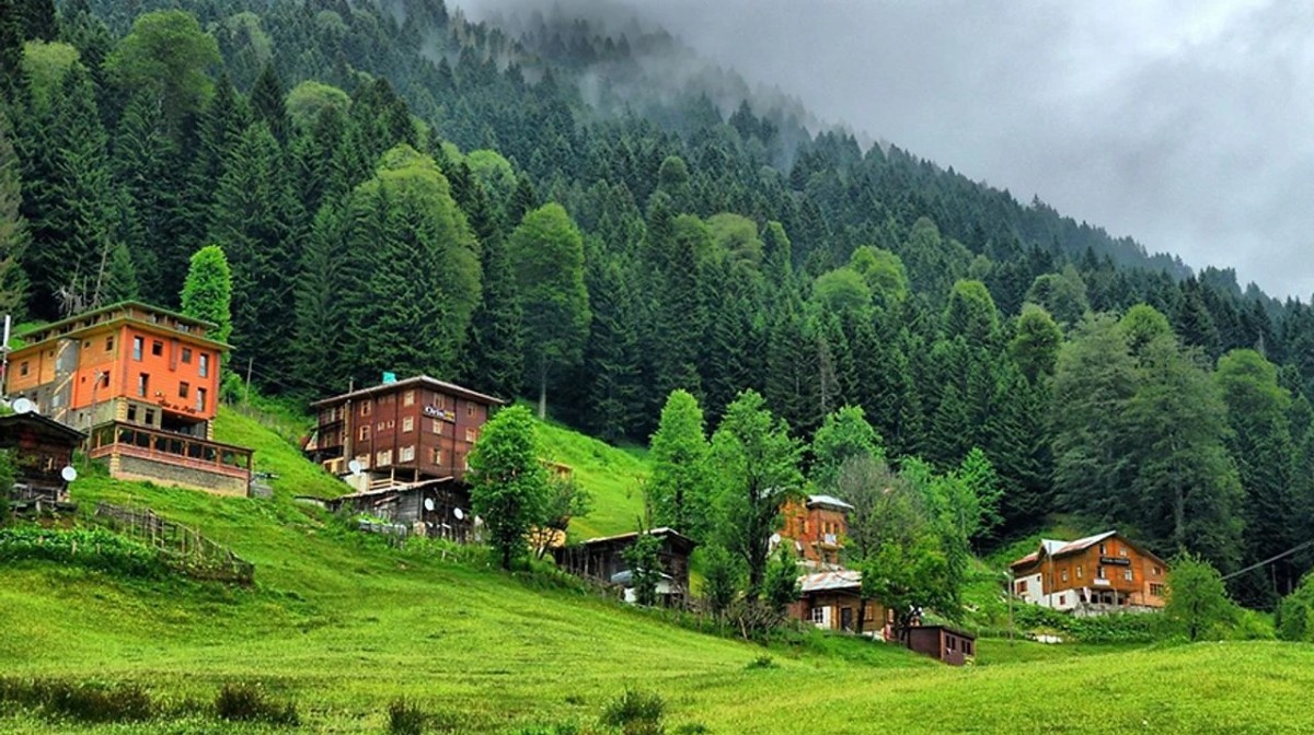 Ayder Yaylası