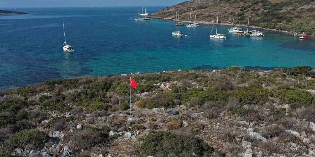 Eşek Adası