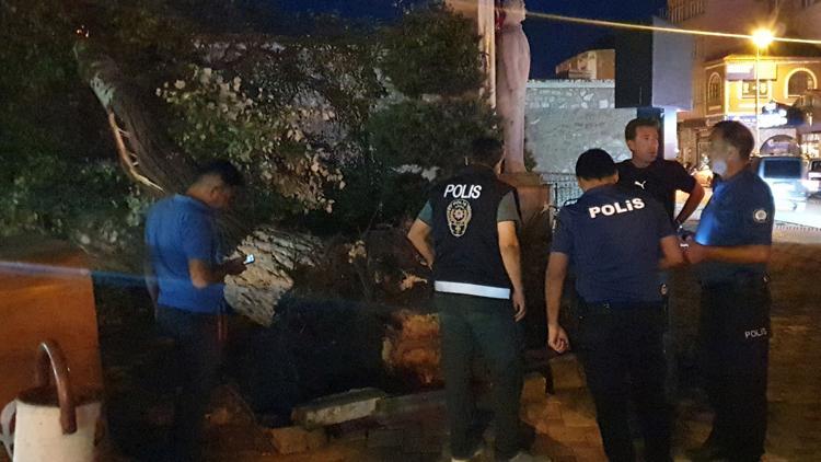 Isparta- Ağaç devrildi; 1 yaralı