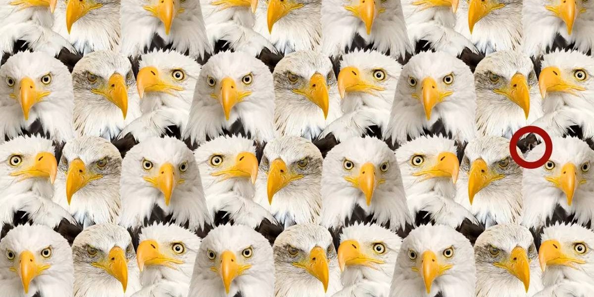 kartal testi sonucu