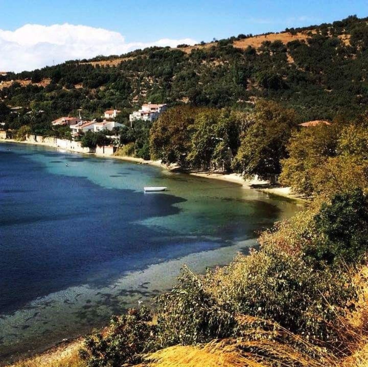 Narlı Köyü nerede