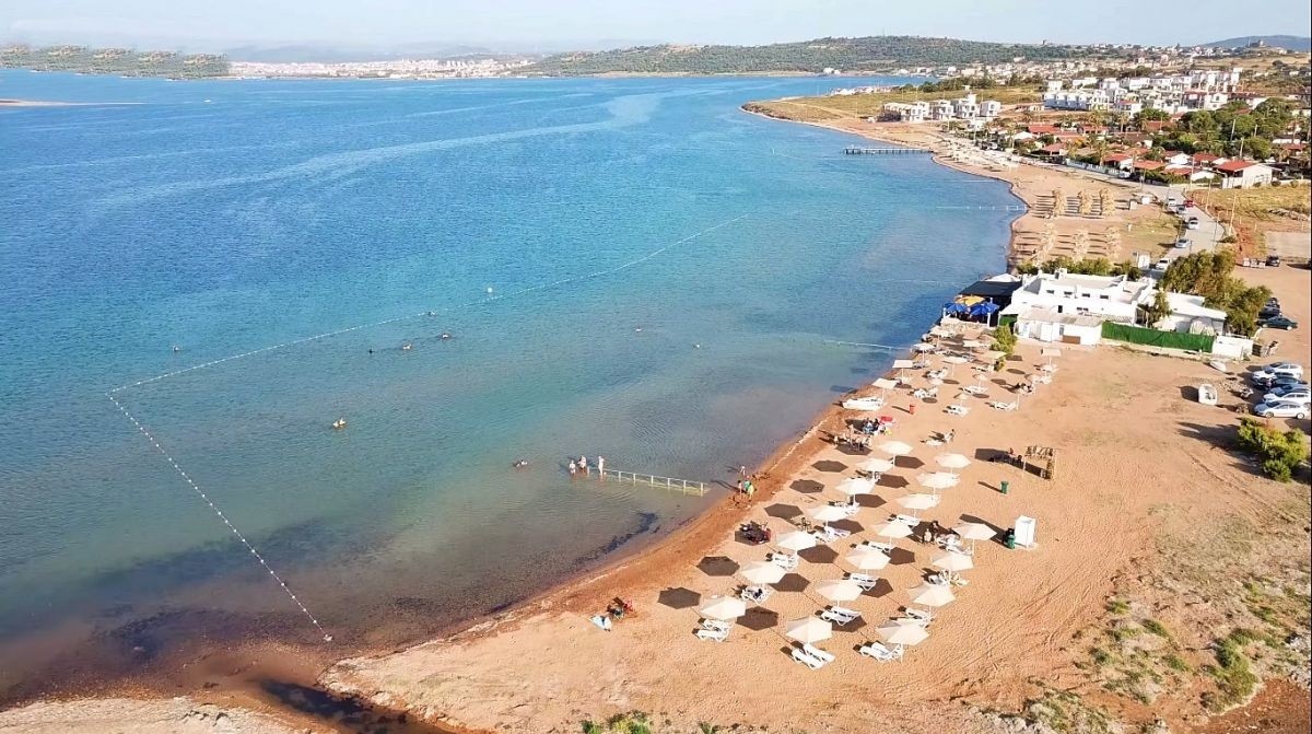 Patriça Koyuna nasıl gidilir