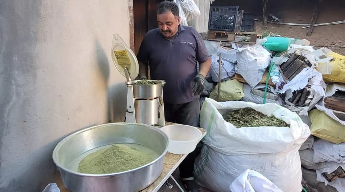 Zetrin sofralara lezzet, vücuda direnç katıyor