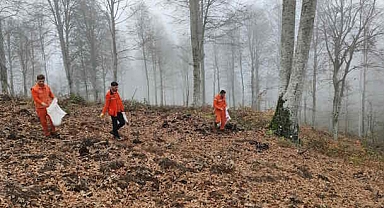 Harmancık’ta yanan ormanlara tohumlar serpiliyor