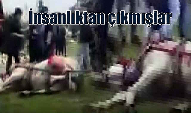 İnsanlıktan çıkmışlar | Koşmadığı için atlara şiddet uyguladılar
