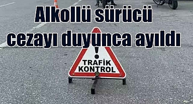 Tehditler savuran alkollü sürücüye milyonluk ceza