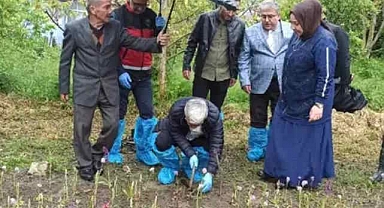 Endemik bitkiyi bahçede yetiştirdi, siparişlere yetişemedi