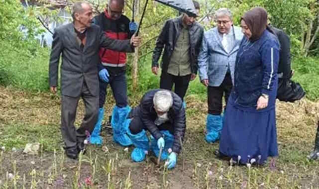 Endemik bitkiyi bahçede yetiştirdi, siparişlere yetişemedi