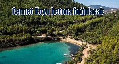 Cengiz'in lüks oteli ve villaları için katliam sürüyor