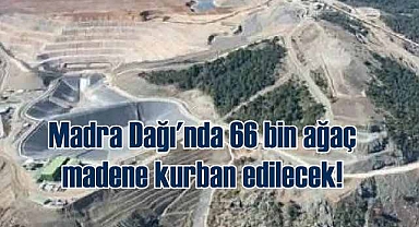 Madra Dağı'nda 66 bin ağaç maden uğruna katledilecek!