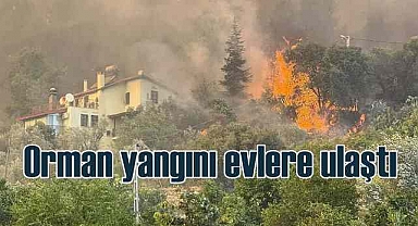 Fethiye'de orman yangını | Alevler evlere ulaştı