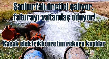 Kaçak elektrikle Güneydoğu'da üretim rekoru kıracaklar