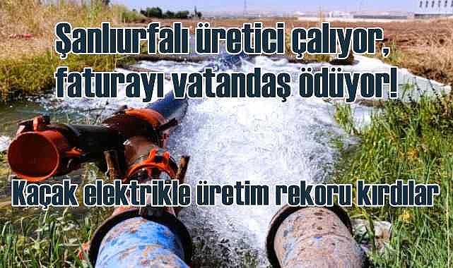 Kaçak elektrikle Güneydoğu'da üretim rekoru kıracaklar