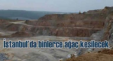 Kalker uğruna binlerce ağacı kesecekler