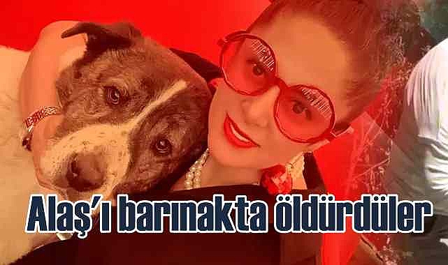Alaş'ı ölüme götüren görevliler hakkında soruşturma açılmalı