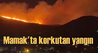 Ankara’da Mamak'ta çıkan yangına müdahale