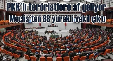 Türkiye'nin yarım asrını çalan PKK'lı katillere af geliyor