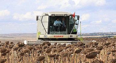 Ayçiçek Hasat Şenliği Silivri'de yapıldı