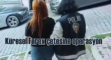 Uluslararası forex dolandırıcılığı operasyonu | 174 gözaltı