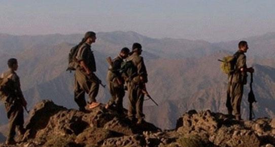 PKK, odun toplayan 7 kişiyi kaçırdı