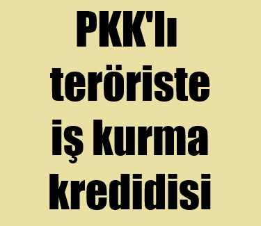 PKK'lı teröristlere 'İş kurma kredisi'