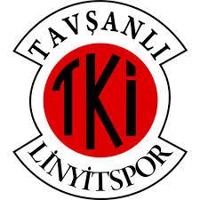 TKİ Tavşanlı Linyitspor'dan 19 transfer birden