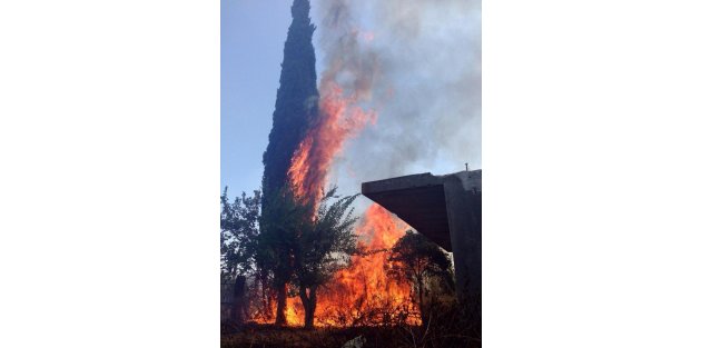 Antalya Kırcami'de makilik alanda yangın (1)