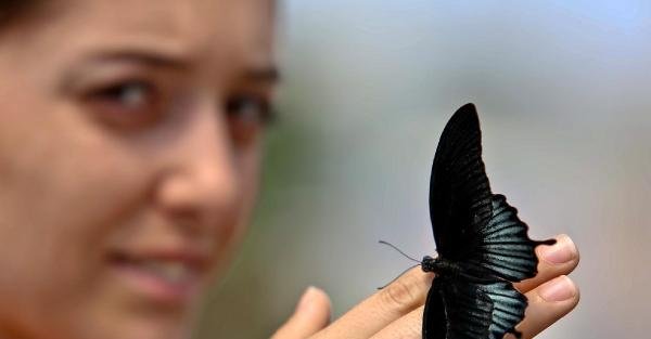 Antalya'da kelebek park açıldı