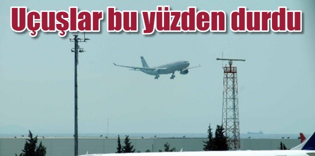 Atatürk Havalimanı pistini köpekler bastı, uçuşlar durdu